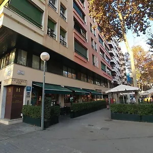 ellenőrizze a rendelkezésre állást
